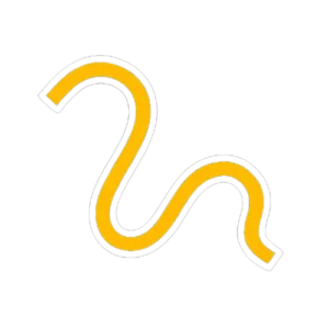 ریسه تزیینی و شلنگی