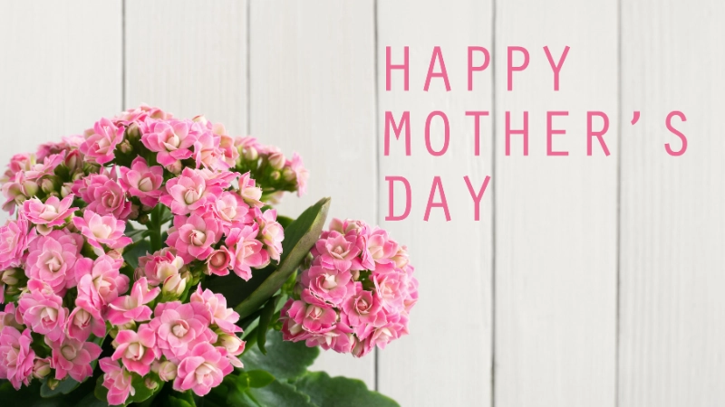 هدایای خاص مادر